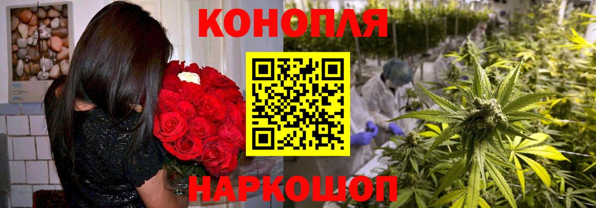МАРИХУАНА семена Видное